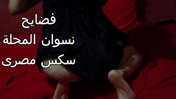 مصريه شرموطه طيزها ضخمه عايزه تتناك نيك عنيف