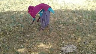 देसी इंडियन बॉयफ्रेंड ने खेत में काम करती हुई उसकी मस्त चुदाई की
